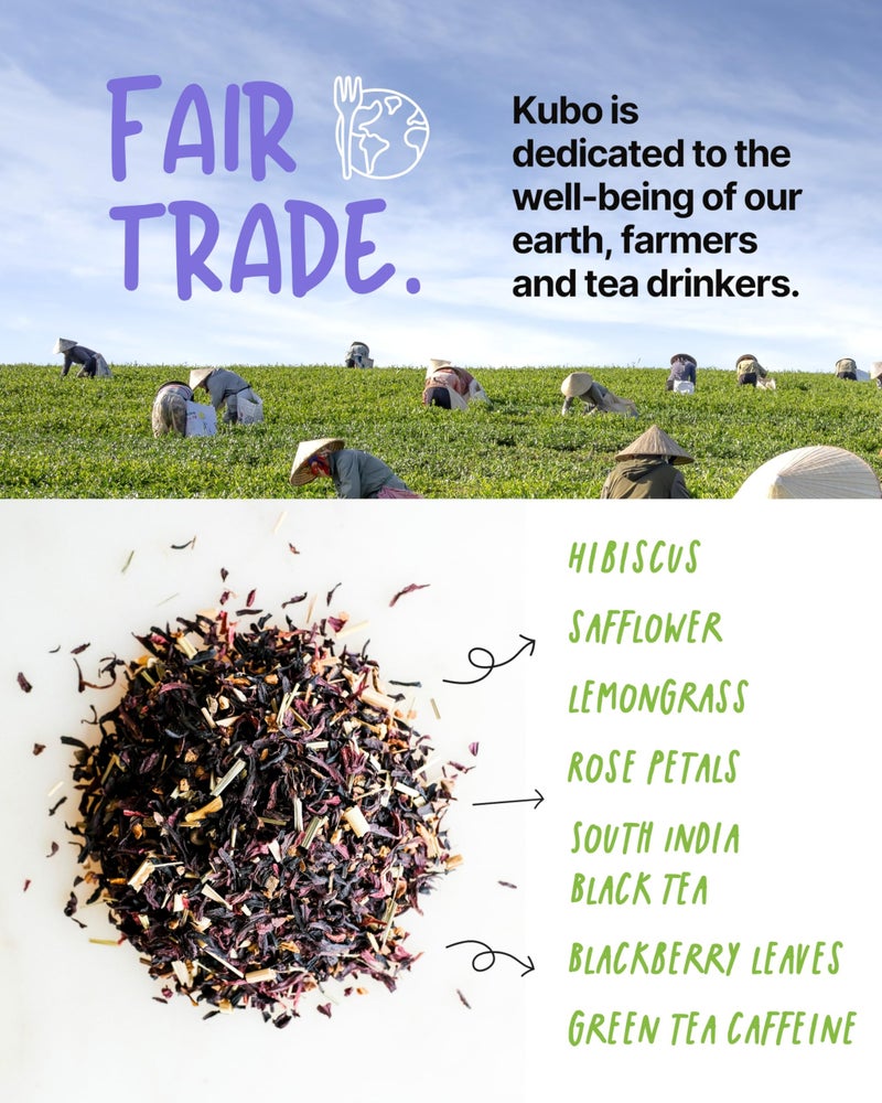Kubo Tea Organic High Energy Iced Tea - High Caffeine Coffee Substitute with 20 Servings (155mg Caffeine each) - Pillow Tea Bags - Half & Half Lemonade Flavor w/Compostable & Biodegradable Packaging - Image 5